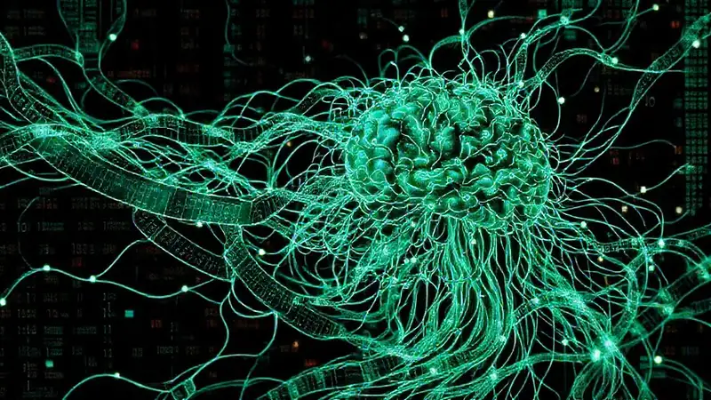 Algoritmos complejos generan resultados más claros